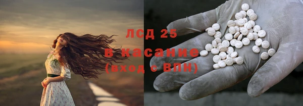 прущая мука Арсеньев