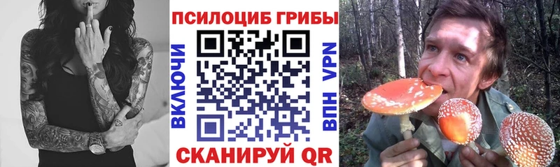цены наркотик  Дегтярск  гидра ССЫЛКА  Псилоцибиновые грибы ЛСД 
