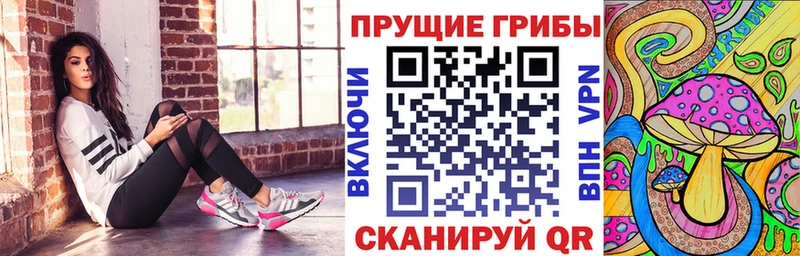 Галлюциногенные грибы MAGIC MUSHROOMS Дегтярск